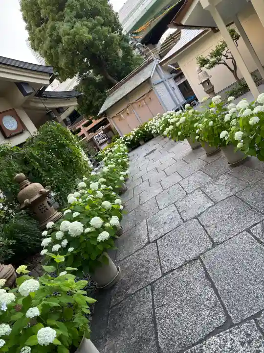 坐摩神社の{uncategorized: "未分類", other: "その他", undefined: "問題あり", building: "その他建物", grave: "お墓", sacred_gate: "鳥居", guardian: "狛犬", statue: "像", buddha: "仏像", history: "歴史", nature: "自然", garden: "庭園", animal: "動物", pagoda: "塔", temizu: "手水舎", mountain_gate: "山門・神門", sanctuary: "本殿・本堂", subordinate: "末社・摂社", art: "芸術", scenery: "景色", jizo: "地蔵", ema: "絵馬", goshuin: "御朱印", omikuji: "おみくじ", items: "授与品その他", amulet: "お守り", goshuincho: "御朱印帳", eats: "食事", festival: "お祭り", votive_dance: "神楽", shichigosan: "七五三参", wedding: "結婚式", experience: "体験その他", initially: "初詣", around: "周辺", anti_infection: "感染症対策"}