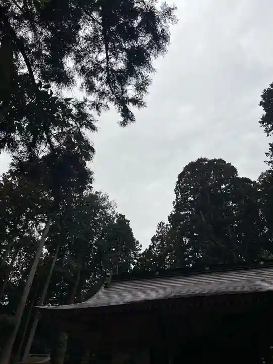 大宮温泉神社(栃木県)