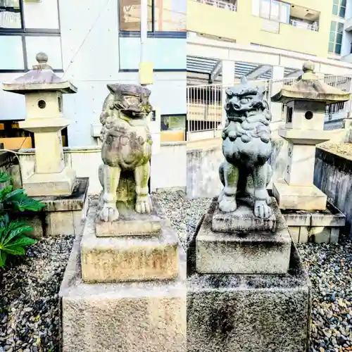 白金氷川神社の狛犬