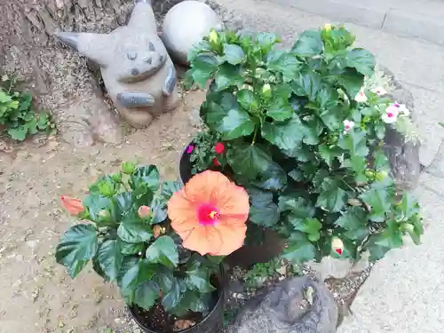 居木神社の自然