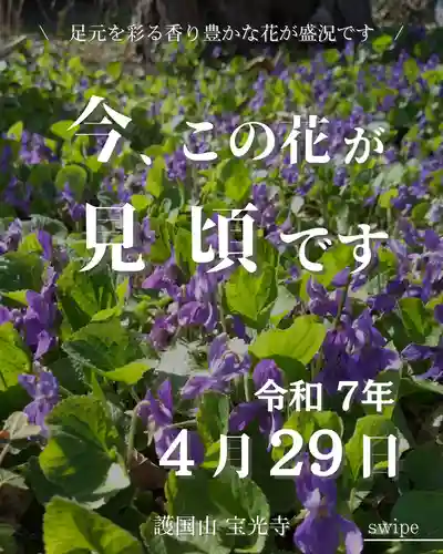 宝光寺(北海道)