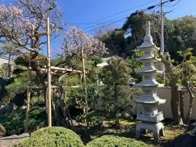 東漸寺の{uncategorized: "未分類", other: "その他", undefined: "問題あり", building: "その他建物", grave: "お墓", sacred_gate: "鳥居", guardian: "狛犬", statue: "像", buddha: "仏像", history: "歴史", nature: "自然", garden: "庭園", animal: "動物", pagoda: "塔", temizu: "手水舎", mountain_gate: "山門・神門", sanctuary: "本殿・本堂", subordinate: "末社・摂社", art: "芸術", scenery: "景色", jizo: "地蔵", ema: "絵馬", goshuin: "御朱印", omikuji: "おみくじ", items: "授与品その他", amulet: "お守り", goshuincho: "御朱印帳", eats: "食事", festival: "お祭り", votive_dance: "神楽", shichigosan: "七五三参", wedding: "結婚式", experience: "体験その他", initially: "初詣", around: "周辺", anti_infection: "感染症対策"}