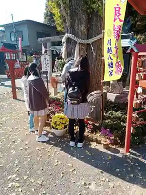 川越八幡宮(埼玉県)