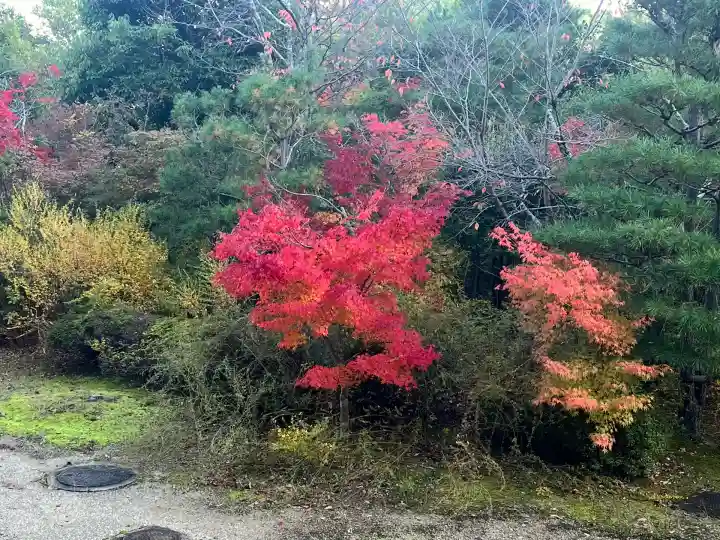 光明寺(粟生光明寺)(京都府)