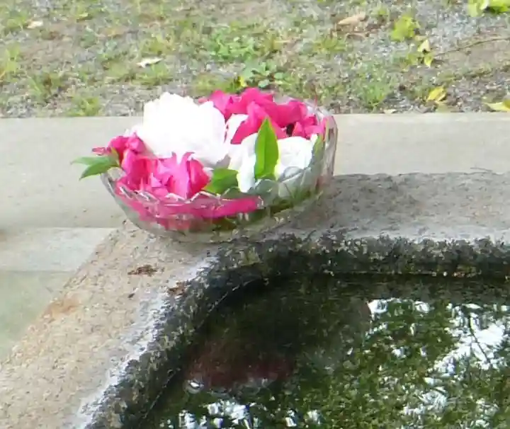 天疫神社(福岡県)