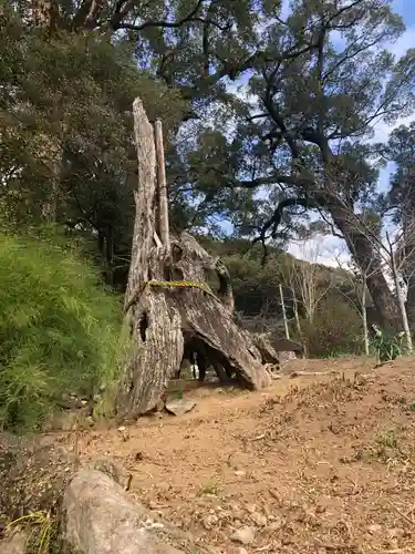 蛭児神社の自然