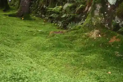 三千院門跡(京都府)