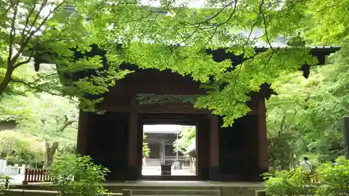 妙本寺の山門・神門