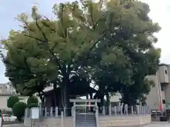 直会神社の建物その他