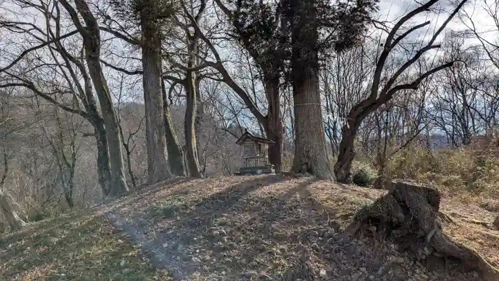 山の神古墳のお墓