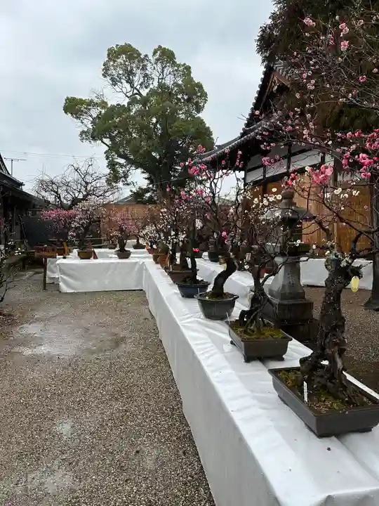 菅原天満宮(菅原神社)(奈良県)
