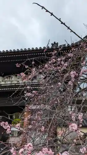 梅宮大社(京都府)