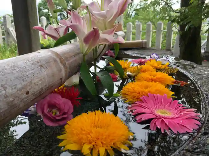 春日神社の手水舎