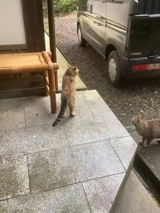 玉野御嶽神社の動物