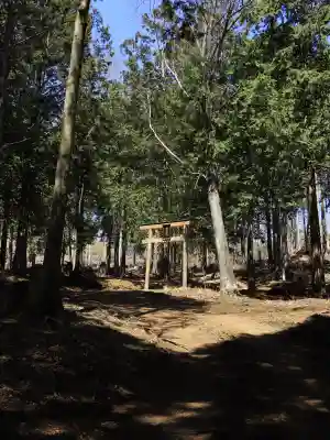 金櫻神社の{uncategorized: "未分類", other: "その他", undefined: "問題あり", building: "その他建物", grave: "お墓", sacred_gate: "鳥居", guardian: "狛犬", statue: "像", buddha: "仏像", history: "歴史", nature: "自然", garden: "庭園", animal: "動物", pagoda: "塔", temizu: "手水舎", mountain_gate: "山門・神門", sanctuary: "本殿・本堂", subordinate: "末社・摂社", art: "芸術", scenery: "景色", jizo: "地蔵", ema: "絵馬", goshuin: "御朱印", omikuji: "おみくじ", items: "授与品その他", amulet: "お守り", goshuincho: "御朱印帳", eats: "食事", festival: "お祭り", votive_dance: "神楽", shichigosan: "七五三参", wedding: "結婚式", experience: "体験その他", initially: "初詣", around: "周辺", anti_infection: "感染症対策"}