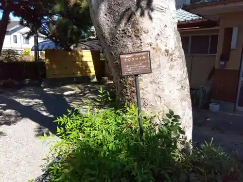 天満宮(滋賀県)