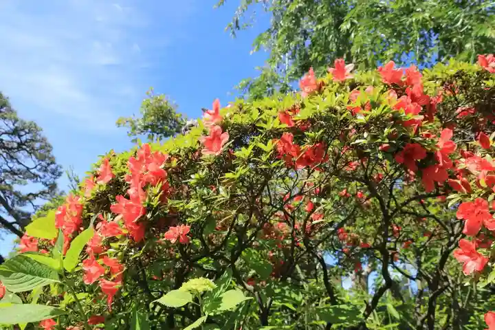 豊景神社の自然