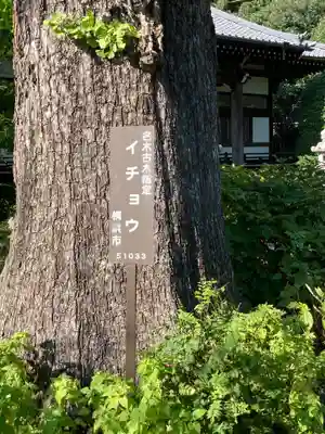 法華寺の自然