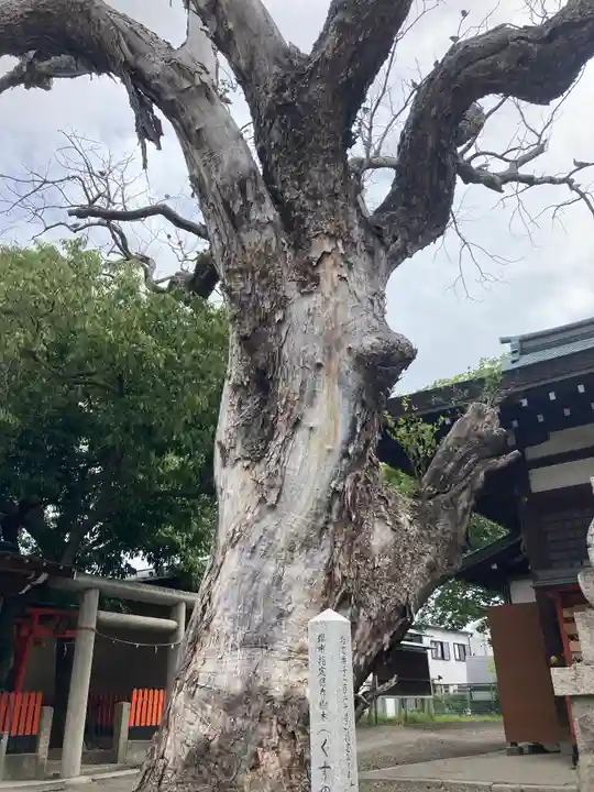 金岡神社(大阪府)