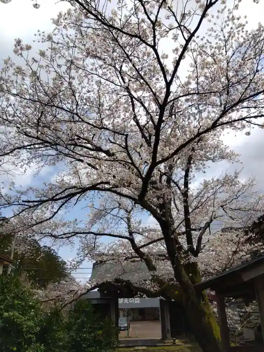 来迎寺(新潟県)