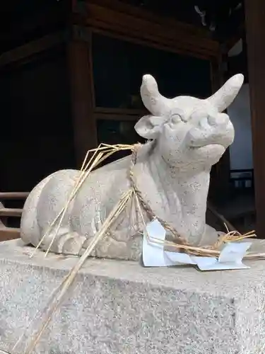 京都ゑびす神社の狛犬