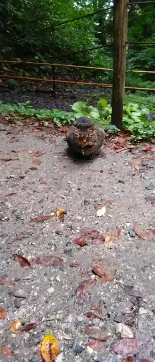 中尊寺の{uncategorized: "未分類", other: "その他", undefined: "問題あり", building: "その他建物", grave: "お墓", sacred_gate: "鳥居", guardian: "狛犬", statue: "像", buddha: "仏像", history: "歴史", nature: "自然", garden: "庭園", animal: "動物", pagoda: "塔", temizu: "手水舎", mountain_gate: "山門・神門", sanctuary: "本殿・本堂", subordinate: "末社・摂社", art: "芸術", scenery: "景色", jizo: "地蔵", ema: "絵馬", goshuin: "御朱印", omikuji: "おみくじ", items: "授与品その他", amulet: "お守り", goshuincho: "御朱印帳", eats: "食事", festival: "お祭り", votive_dance: "神楽", shichigosan: "七五三参", wedding: "結婚式", experience: "体験その他", initially: "初詣", around: "周辺", anti_infection: "感染症対策"}