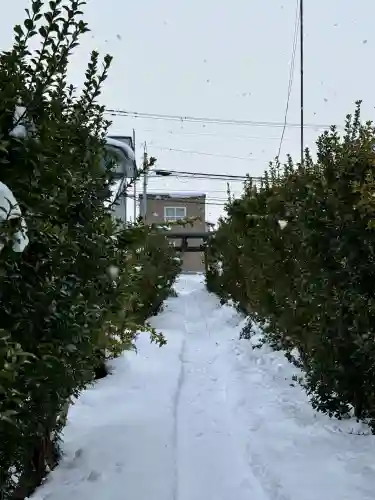 一本栗地主神社の{uncategorized: "未分類", other: "その他", undefined: "問題あり", building: "その他建物", grave: "お墓", sacred_gate: "鳥居", guardian: "狛犬", statue: "像", buddha: "仏像", history: "歴史", nature: "自然", garden: "庭園", animal: "動物", pagoda: "塔", temizu: "手水舎", mountain_gate: "山門・神門", sanctuary: "本殿・本堂", subordinate: "末社・摂社", art: "芸術", scenery: "景色", jizo: "地蔵", ema: "絵馬", goshuin: "御朱印", omikuji: "おみくじ", items: "授与品その他", amulet: "お守り", goshuincho: "御朱印帳", eats: "食事", festival: "お祭り", votive_dance: "神楽", shichigosan: "七五三参", wedding: "結婚式", experience: "体験その他", initially: "初詣", around: "周辺", anti_infection: "感染症対策"}