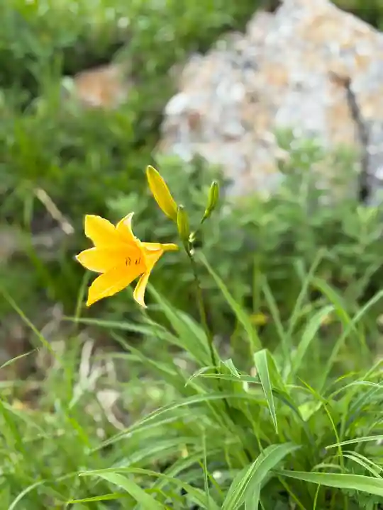 白山比咩神社 奥宮(石川県)