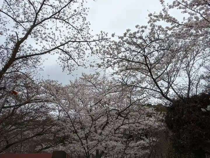 勝持寺(花の寺)(京都府)