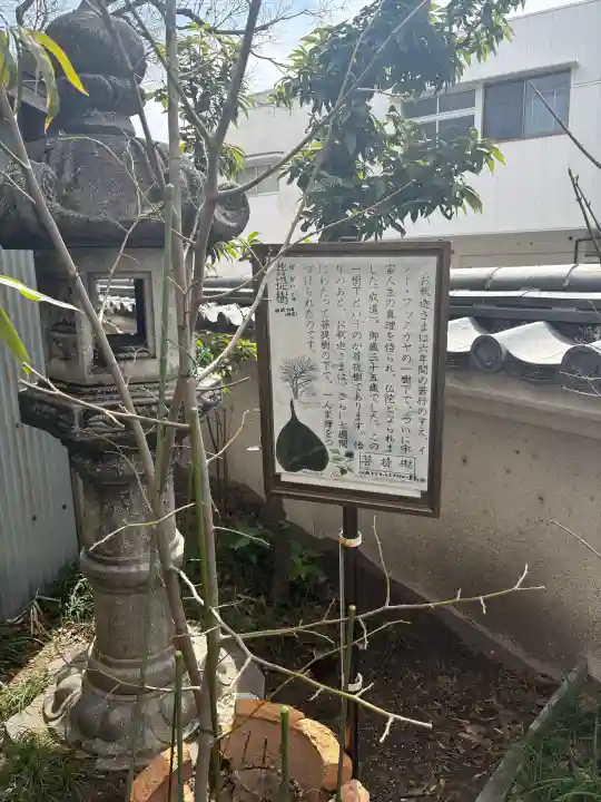 普光寺の{uncategorized: "未分類", other: "その他", undefined: "問題あり", building: "その他建物", grave: "お墓", sacred_gate: "鳥居", guardian: "狛犬", statue: "像", buddha: "仏像", history: "歴史", nature: "自然", garden: "庭園", animal: "動物", pagoda: "塔", temizu: "手水舎", mountain_gate: "山門・神門", sanctuary: "本殿・本堂", subordinate: "末社・摂社", art: "芸術", scenery: "景色", jizo: "地蔵", ema: "絵馬", goshuin: "御朱印", omikuji: "おみくじ", items: "授与品その他", amulet: "お守り", goshuincho: "御朱印帳", eats: "食事", festival: "お祭り", votive_dance: "神楽", shichigosan: "七五三参", wedding: "結婚式", experience: "体験その他", initially: "初詣", around: "周辺", anti_infection: "感染症対策"}