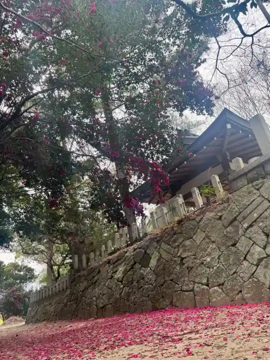 凉森神社の{uncategorized: "未分類", other: "その他", undefined: "問題あり", building: "その他建物", grave: "お墓", sacred_gate: "鳥居", guardian: "狛犬", statue: "像", buddha: "仏像", history: "歴史", nature: "自然", garden: "庭園", animal: "動物", pagoda: "塔", temizu: "手水舎", mountain_gate: "山門・神門", sanctuary: "本殿・本堂", subordinate: "末社・摂社", art: "芸術", scenery: "景色", jizo: "地蔵", ema: "絵馬", goshuin: "御朱印", omikuji: "おみくじ", items: "授与品その他", amulet: "お守り", goshuincho: "御朱印帳", eats: "食事", festival: "お祭り", votive_dance: "神楽", shichigosan: "七五三参", wedding: "結婚式", experience: "体験その他", initially: "初詣", around: "周辺", anti_infection: "感染症対策"}