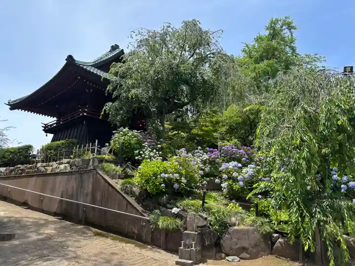 本土寺(千葉県)