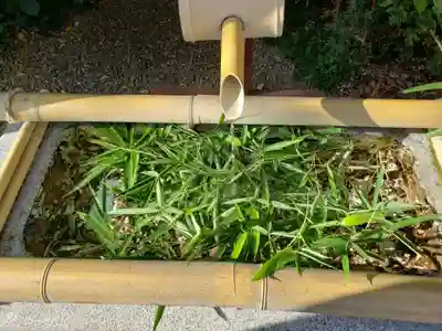 猿田彦神社(東京都)