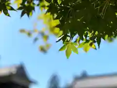 眞田神社の自然