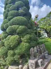 壽昌寺(神奈川県)