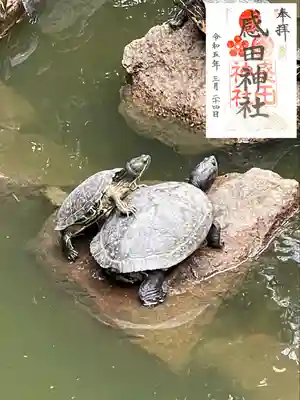 感田神社(大阪府)