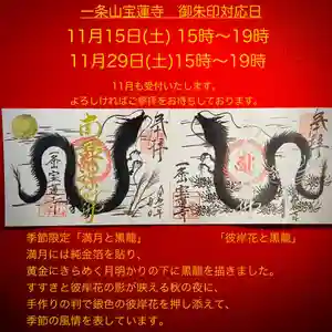 一条山宝蓮寺の御朱印 2025年11月15日(土)〜(2025年11月15日(土) 08時12分04秒投稿)