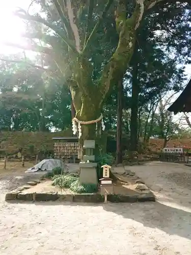 武田神社の庭園