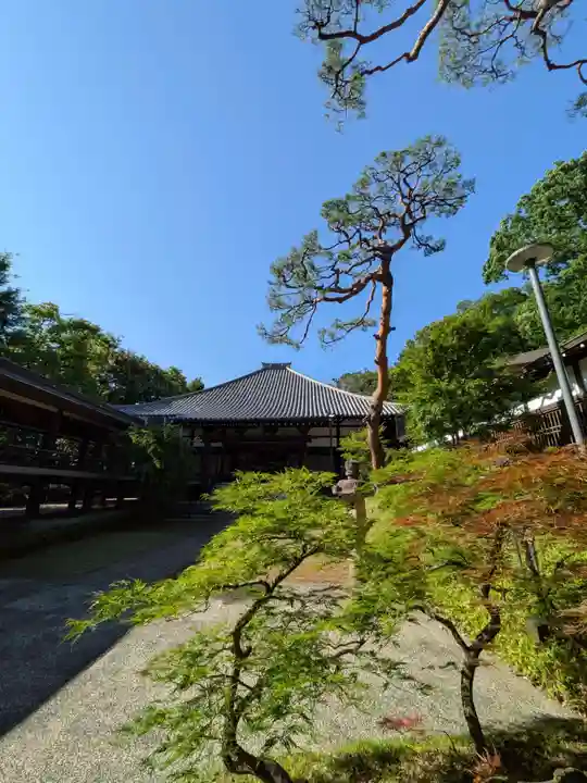 妙法寺(東京都)