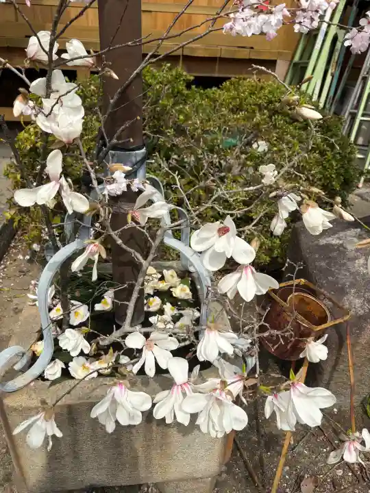 源空院(浅井寺)の{uncategorized: "未分類", other: "その他", undefined: "問題あり", building: "その他建物", grave: "お墓", sacred_gate: "鳥居", guardian: "狛犬", statue: "像", buddha: "仏像", history: "歴史", nature: "自然", garden: "庭園", animal: "動物", pagoda: "塔", temizu: "手水舎", mountain_gate: "山門・神門", sanctuary: "本殿・本堂", subordinate: "末社・摂社", art: "芸術", scenery: "景色", jizo: "地蔵", ema: "絵馬", goshuin: "御朱印", omikuji: "おみくじ", items: "授与品その他", amulet: "お守り", goshuincho: "御朱印帳", eats: "食事", festival: "お祭り", votive_dance: "神楽", shichigosan: "七五三参", wedding: "結婚式", experience: "体験その他", initially: "初詣", around: "周辺", anti_infection: "感染症対策"}