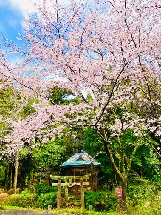 伊保田神社(茨城県)