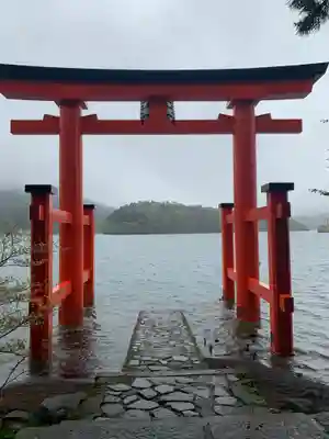 箱根神社の鳥居