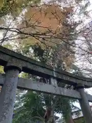 金剱宮の鳥居