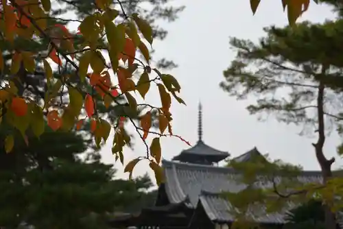 法隆寺の景色