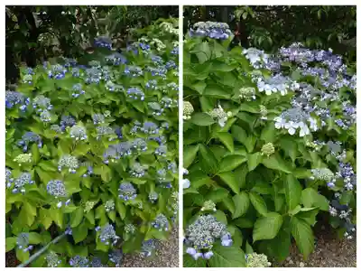 石坐神社(滋賀県)