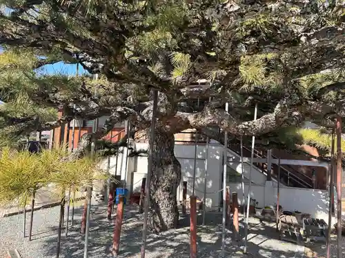 観音寺(三重県)