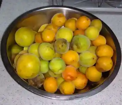 福泉寺(静岡県)