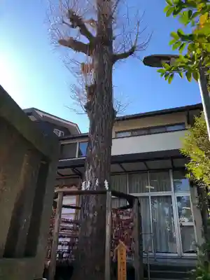 越谷香取神社(埼玉県)