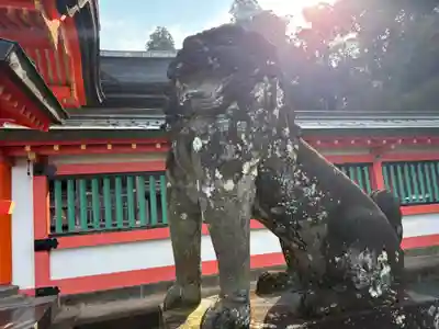 高良大社(福岡県)