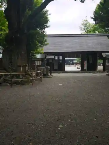 伊曽乃神社(愛媛県)